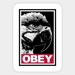 Obey the Macaw Parrot Sticker